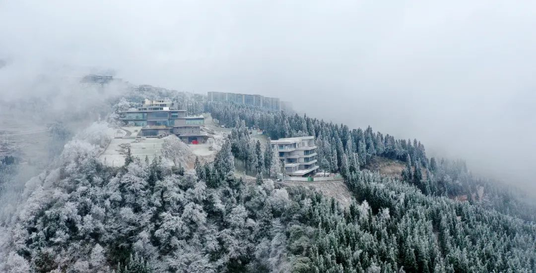 12月18日罗汉林雪景|茫茫白雪覆山峦 银装素裹更浪漫