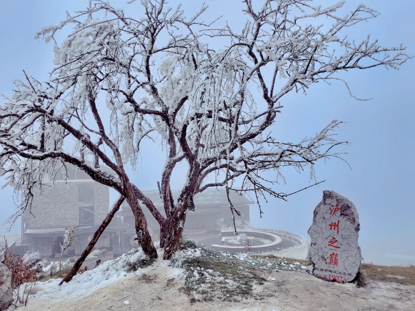 泸州罗汉林2024年冰雪世界雪景